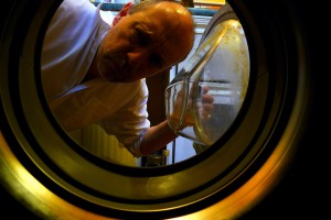 flickr.spincity