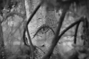 the.ent